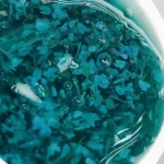 Saga Flower Gel nr.2