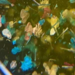 Saga Flower Gel nr.5