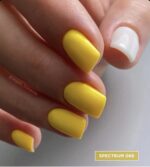 FOX Spectrum Gel Polish 066 (7ml) - Image 3